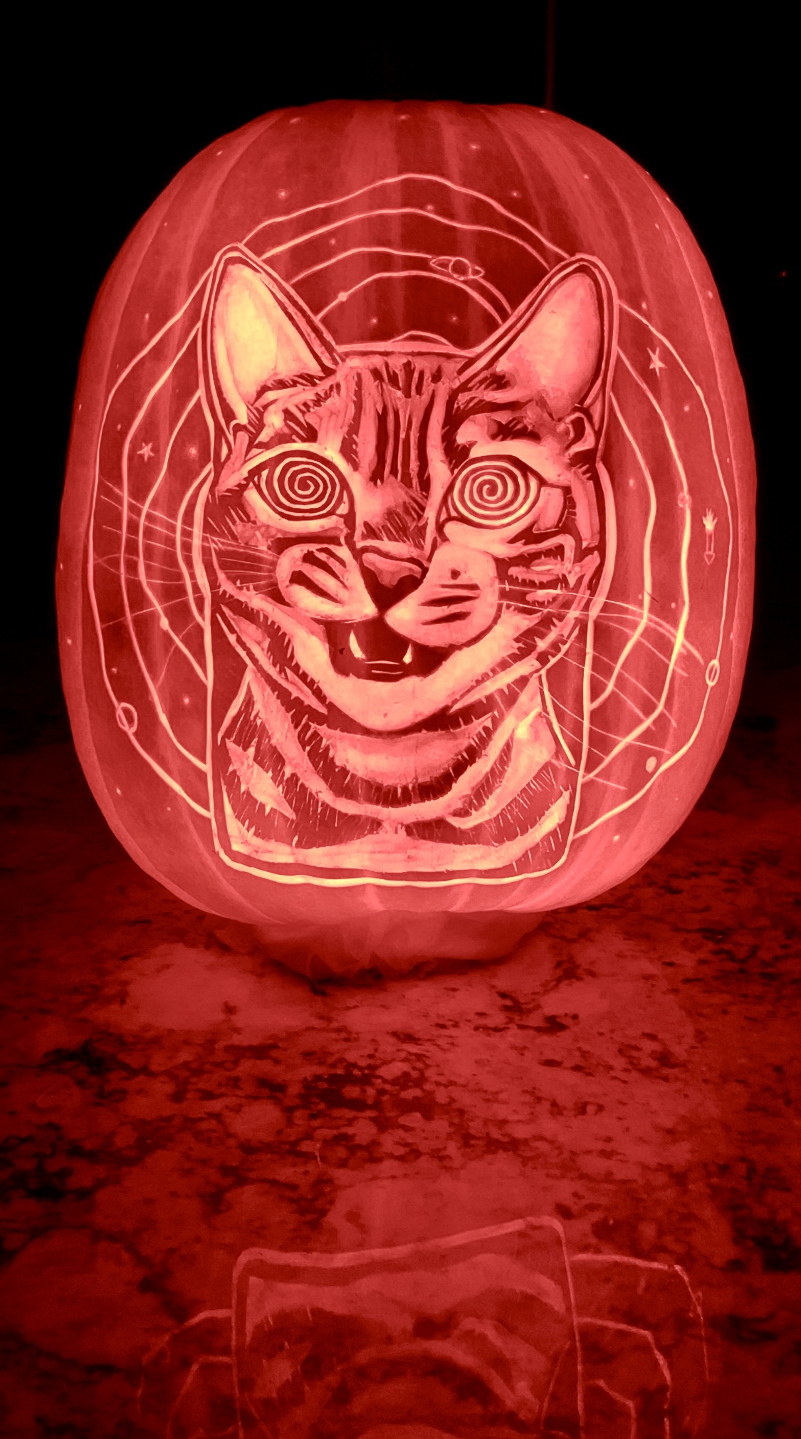 Crazy Cat pumpkin carving by Jake Voelker, photo 1 of 1